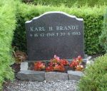 Karl H. Brandt.jpg